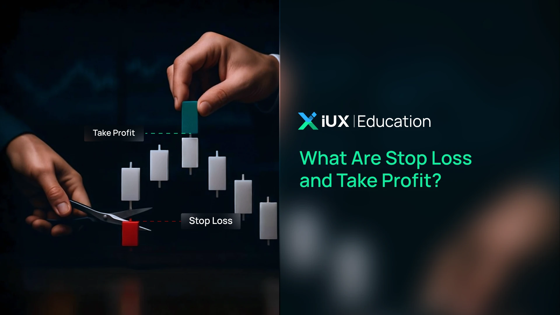 What Are Stop Loss and Take Profit? How to Set SL/TP to Limit Losses and Lock in Profits