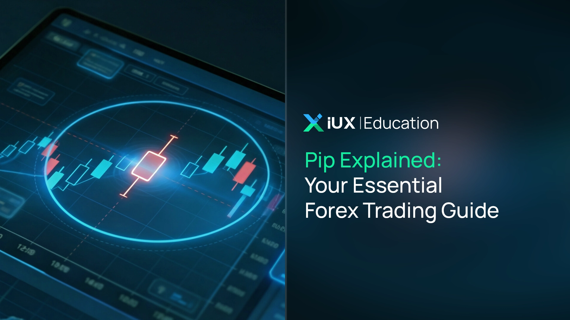 Giải thích về Pip: Hướng dẫn Giao dịch Forex Thiết yếu